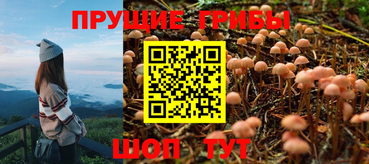Галлюциногенные грибы Cubensis Реутов