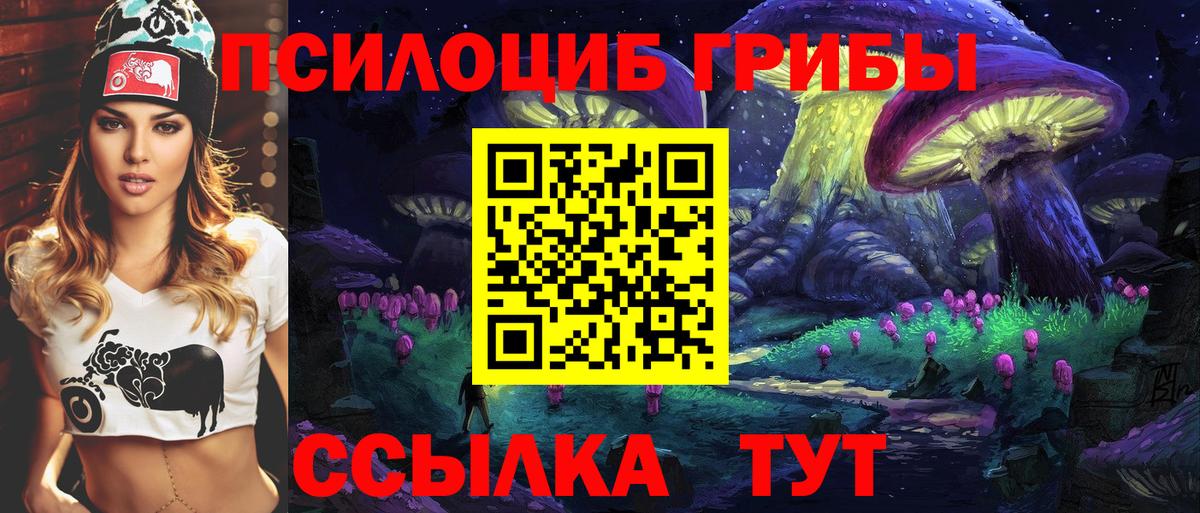 Псилоцибиновые грибы Cubensis  Вход с VPN  Реутов 